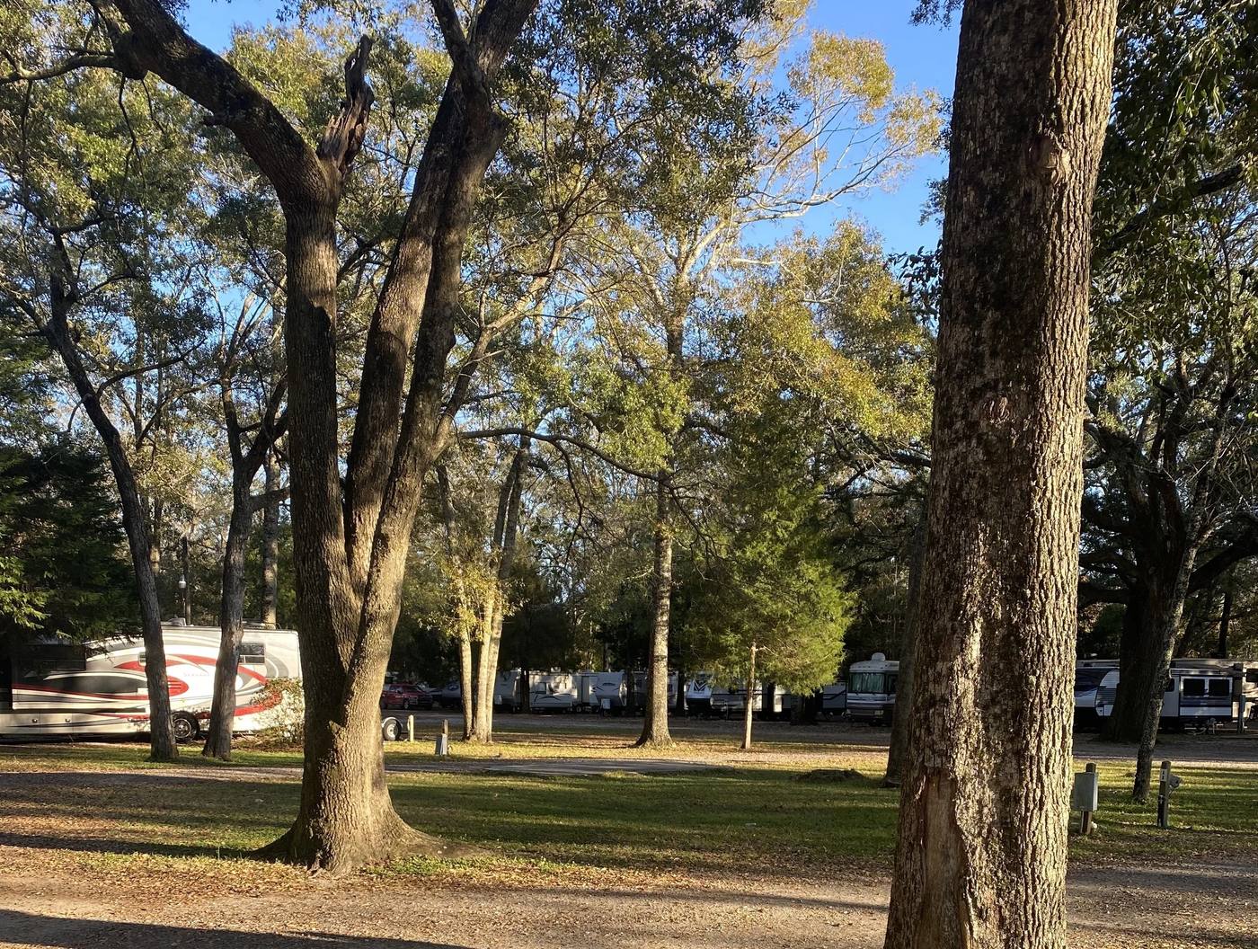 RV sites under big shade trees